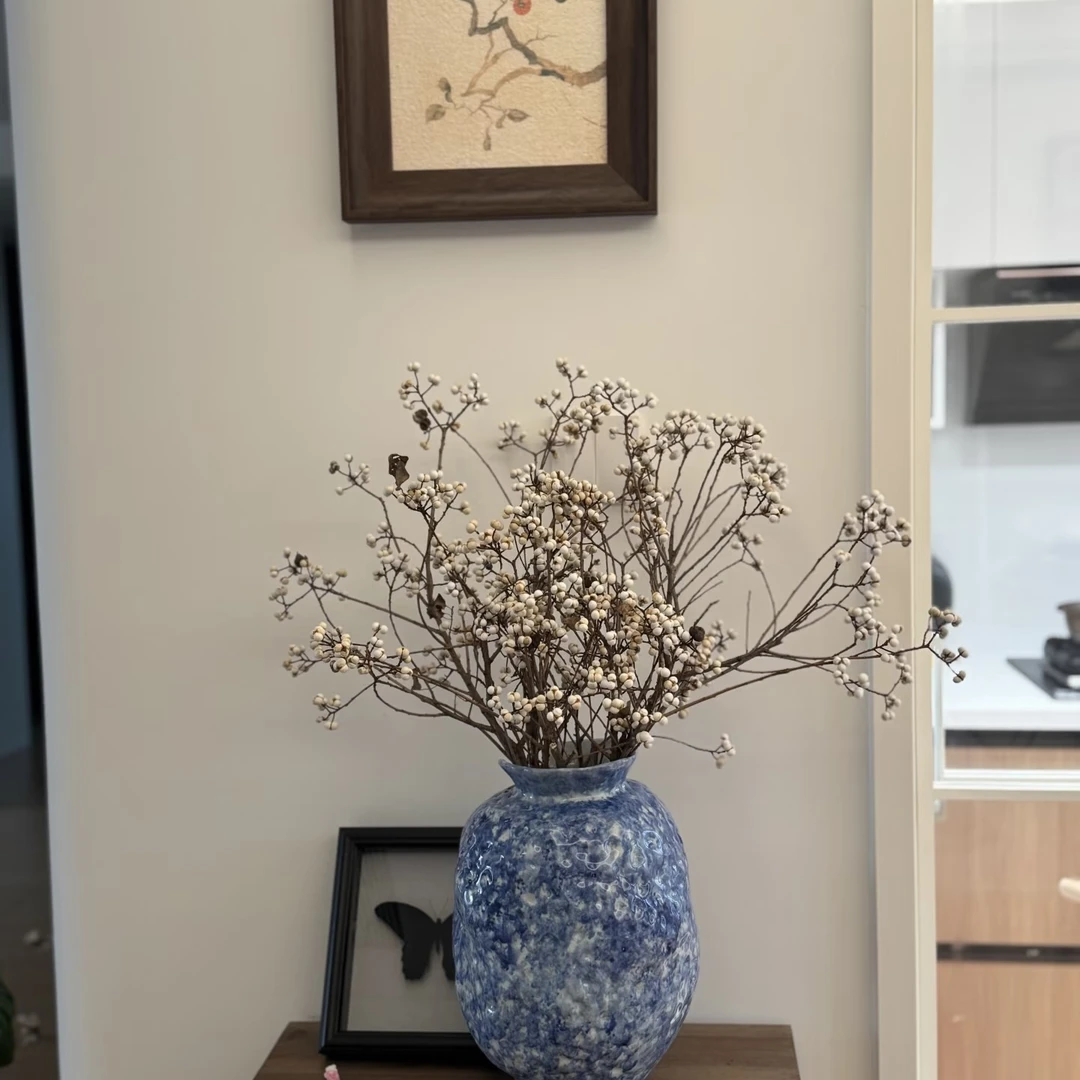 【乌桕果】小众花材可做干花营造秋季氛围感云南基地直发