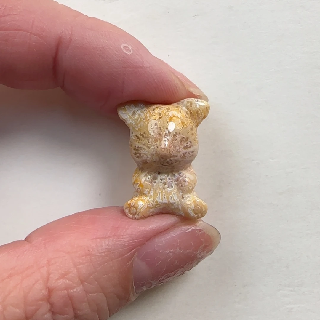 硅化珊瑚（珊瑚玉）未镶嵌颈饰