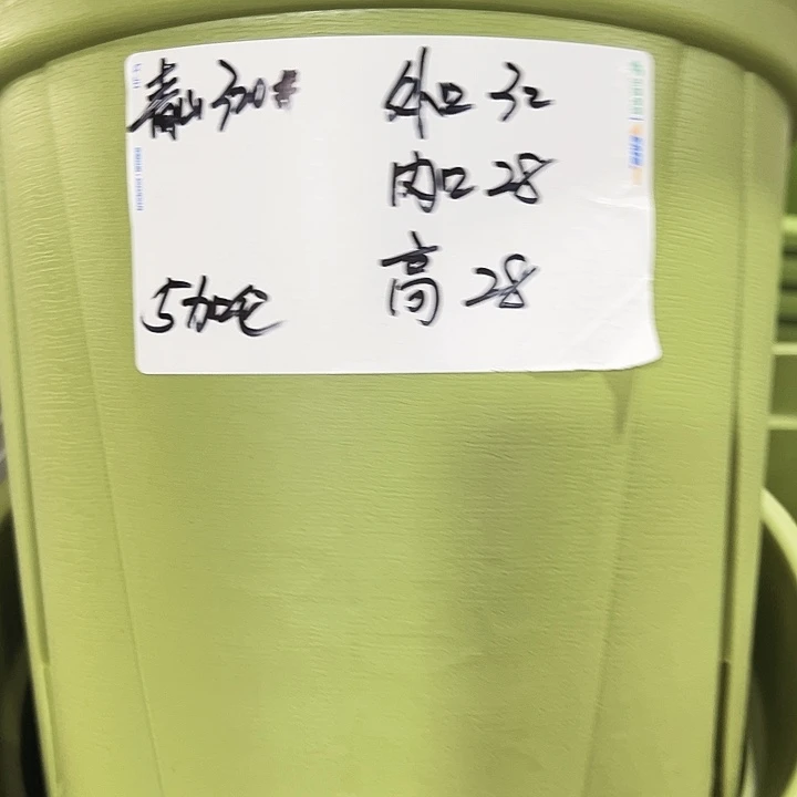 青山口32高28果绿无托5只