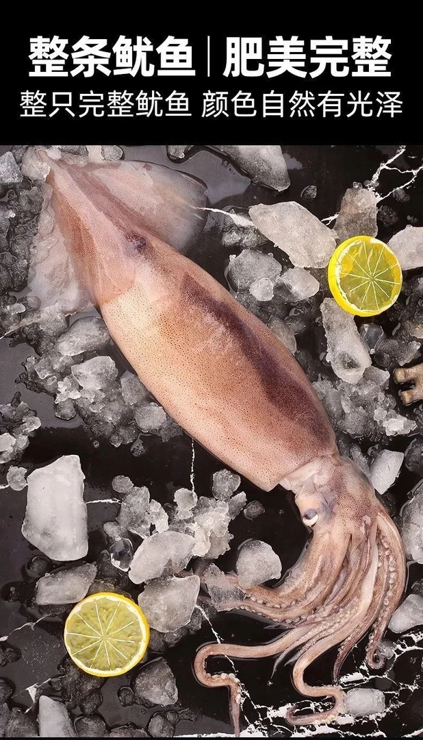活冻大鱿鱼发货5斤深海捕捞鱿鱼烧烤铁板红烧辣炒食材新鲜整只