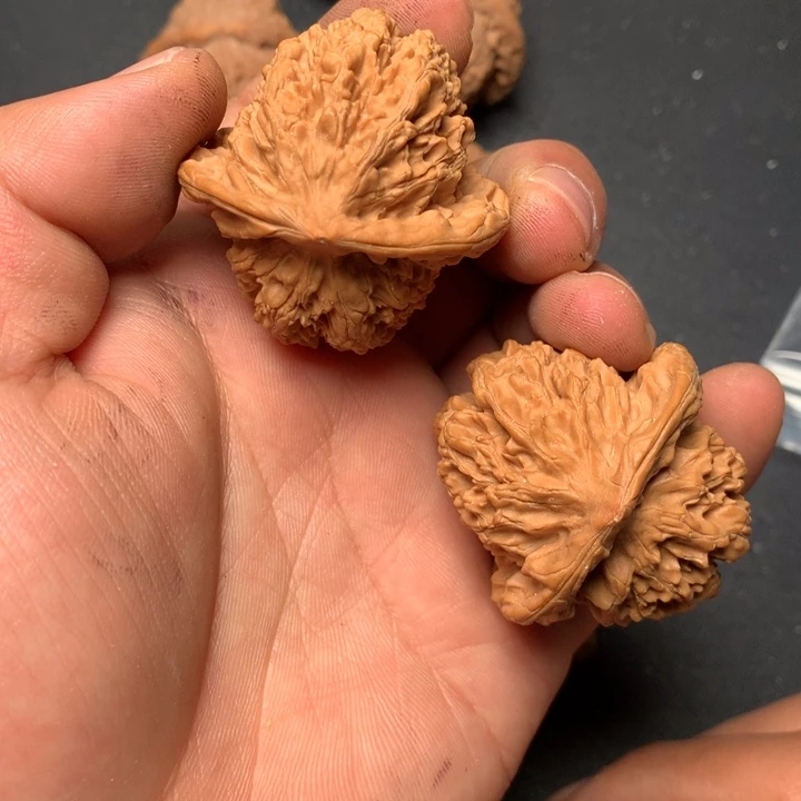 文玩核桃把件41大花36