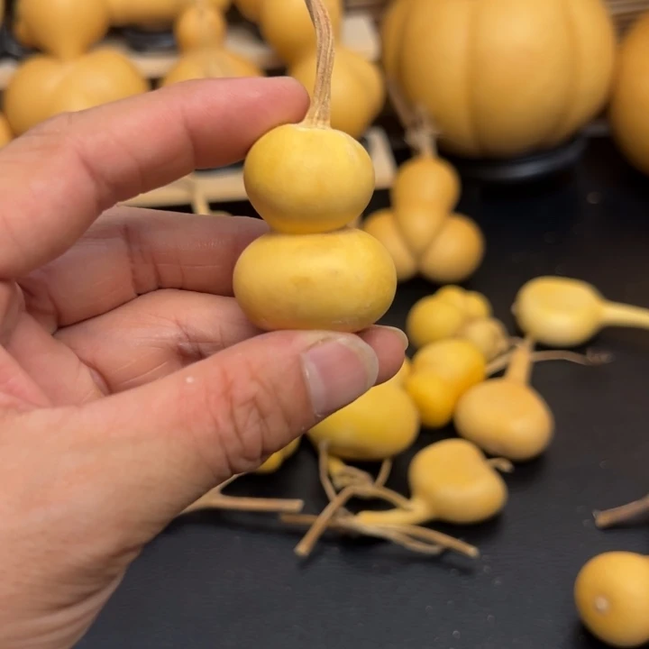 嘟*马4568888888888888