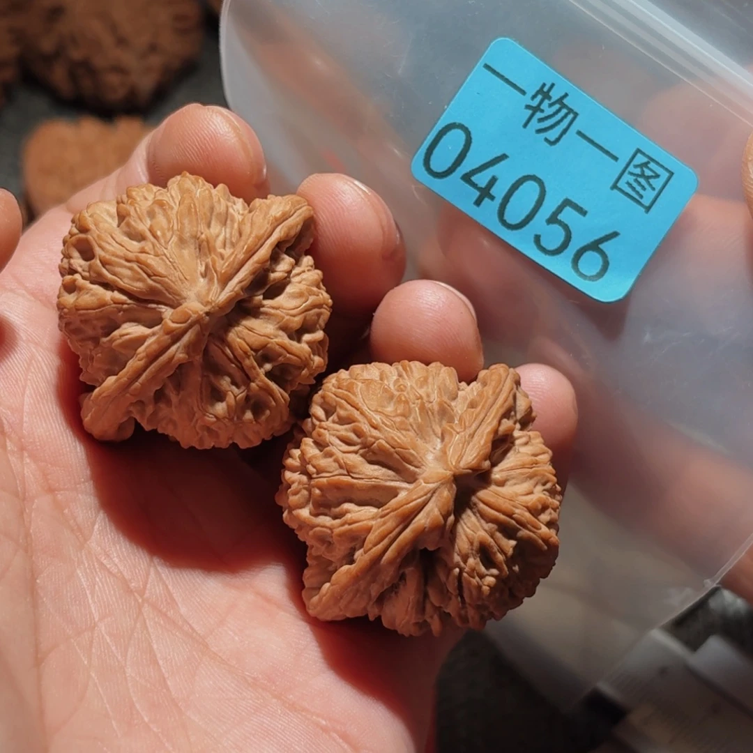 文玩核桃把件白狮子