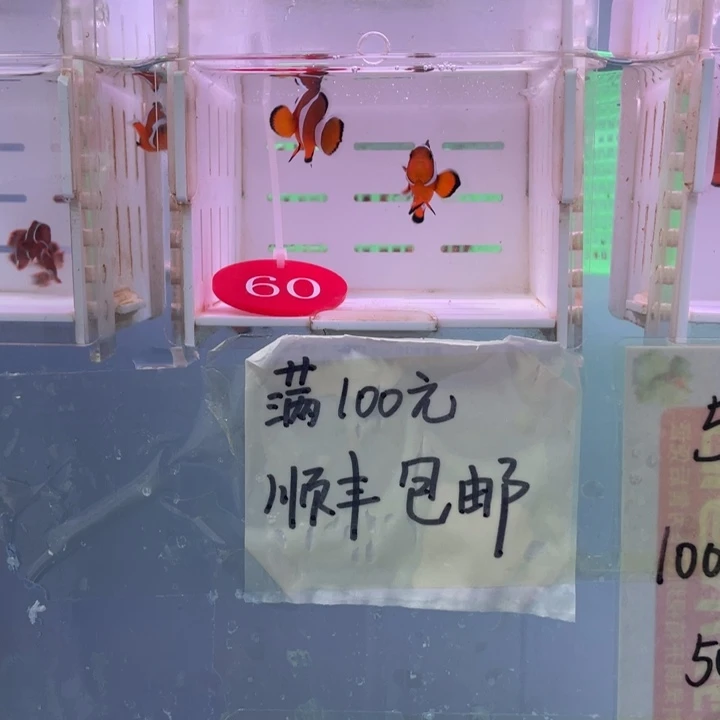 海水鱼精品黑边2条4-5