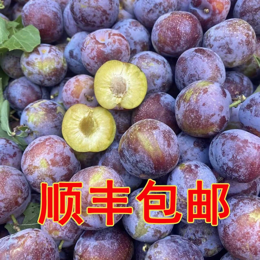 【顺丰包邮】竹山本地文峰脆红李新鲜现摘应季水果脆甜可口