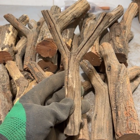 大果紫檀（缅甸花梨）曾***诺