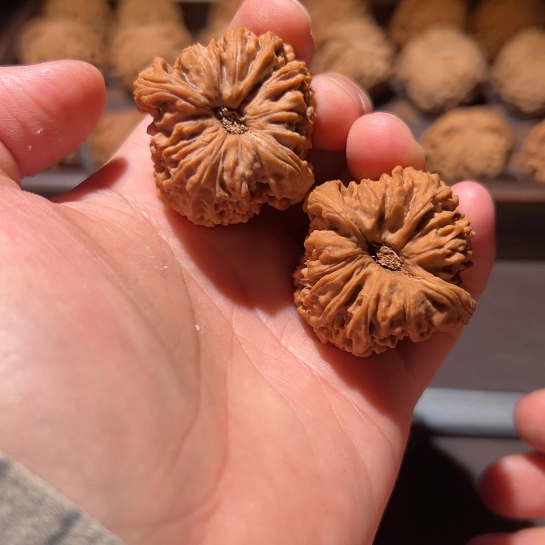 核桃39全品嘎嘎板正红皮疆