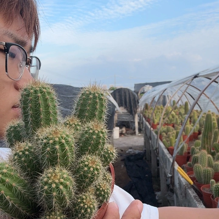 黑***院无花朵ts100哈哈哈哈哈哈