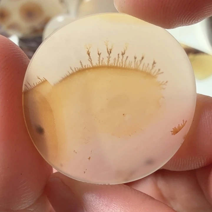 玛瑙/玉髓未镶嵌珠宝半成品