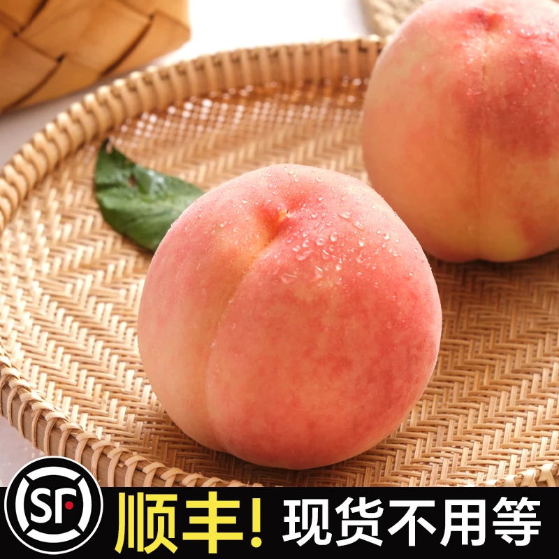 现货毛桃水蜜桃新鲜时令水果当季特大脆甜桃现摘大桃子【顺丰可选】