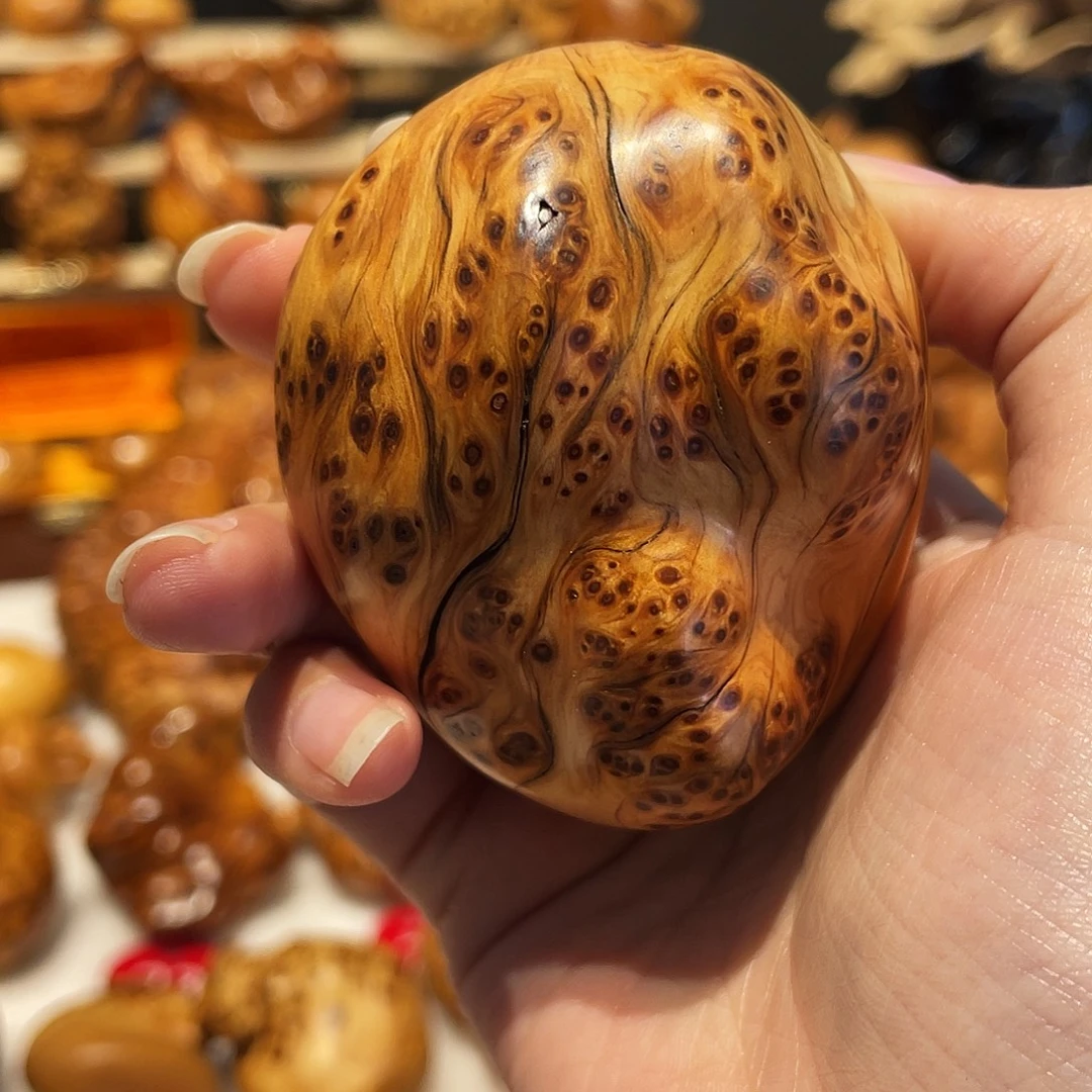 沥***剂柏木（崖柏）太行崖柏