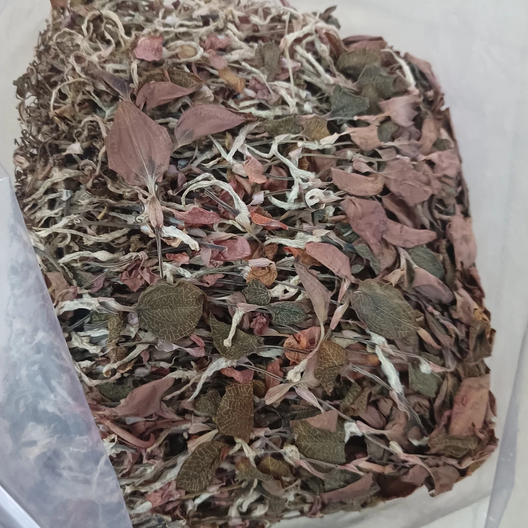 佛冈时时好运农产品金线莲根叶混合半斤干品