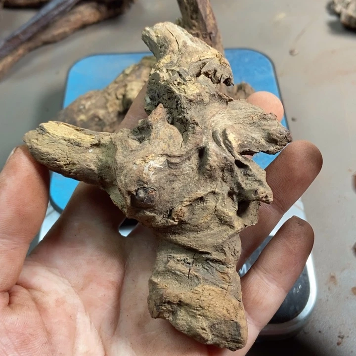 黄花梨/降香黄檀北**光