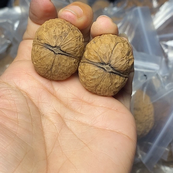 把件文玩核桃云南铁核桃92