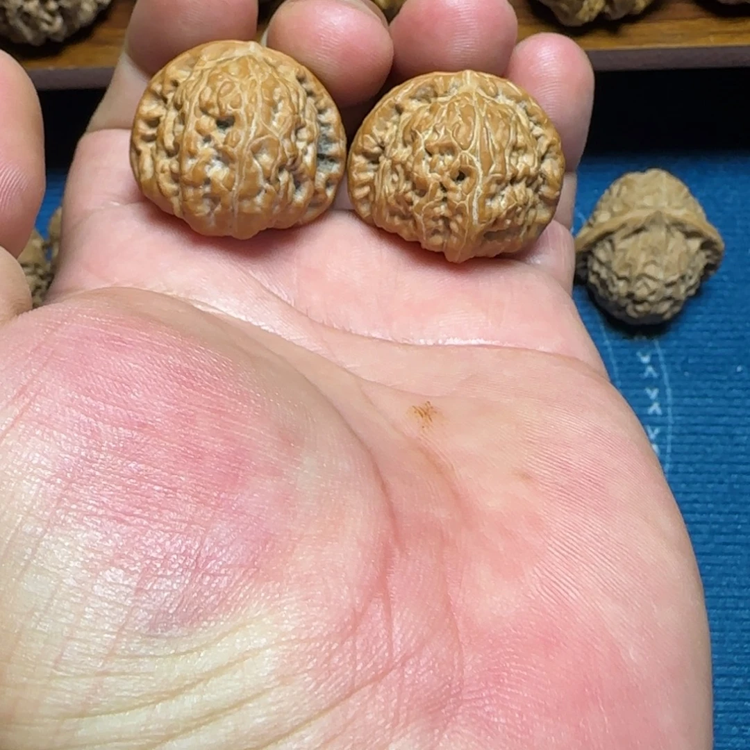 把件文玩核桃全品33白狮子手捻