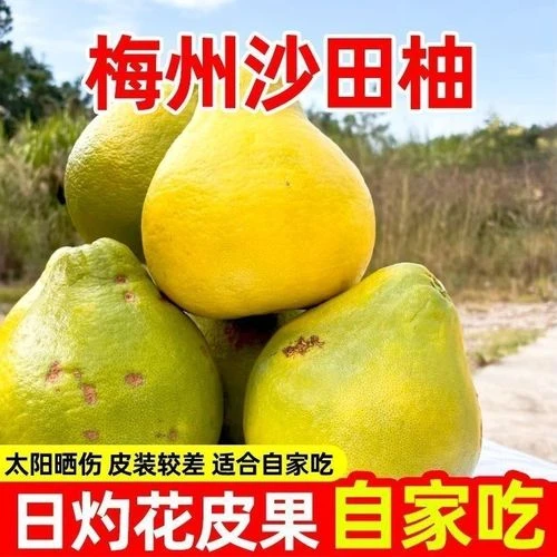 【花皮/小果50斤】梅州沙田柚纯甜无酸老果树当季新鲜水果产地直发