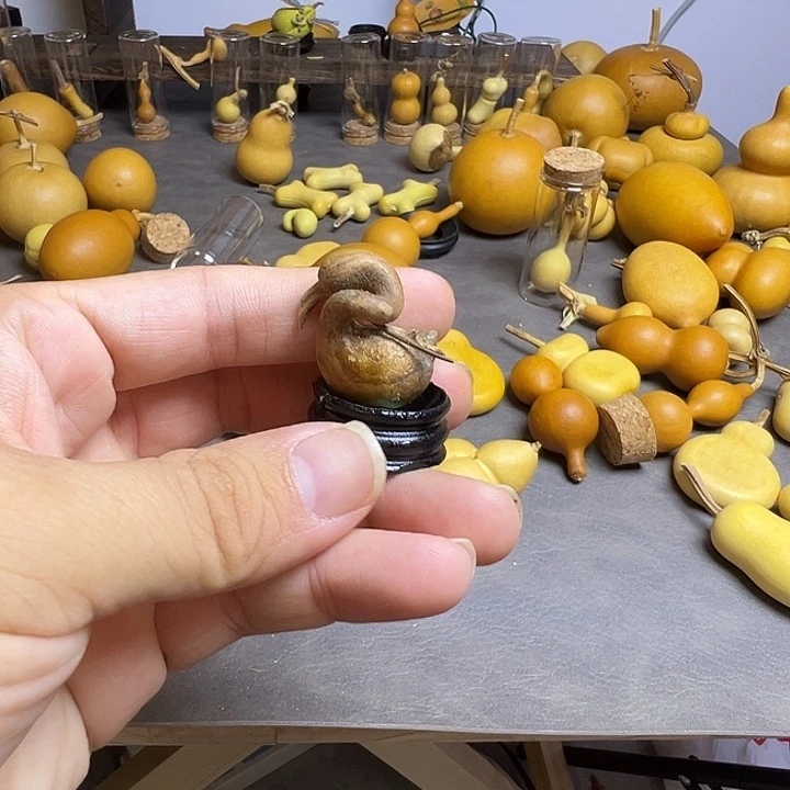 小***盆异型葫芦一物一拍一个
