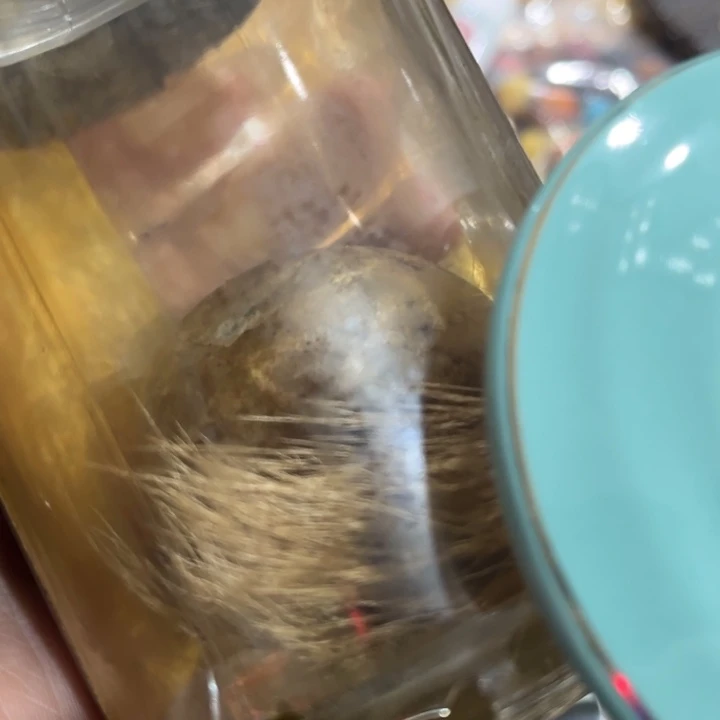 盖碗茶百道的小龙虾真的太好吃了吧