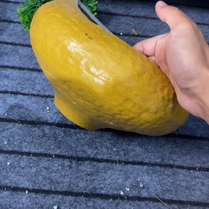 我也不知道我为什么要这样对你