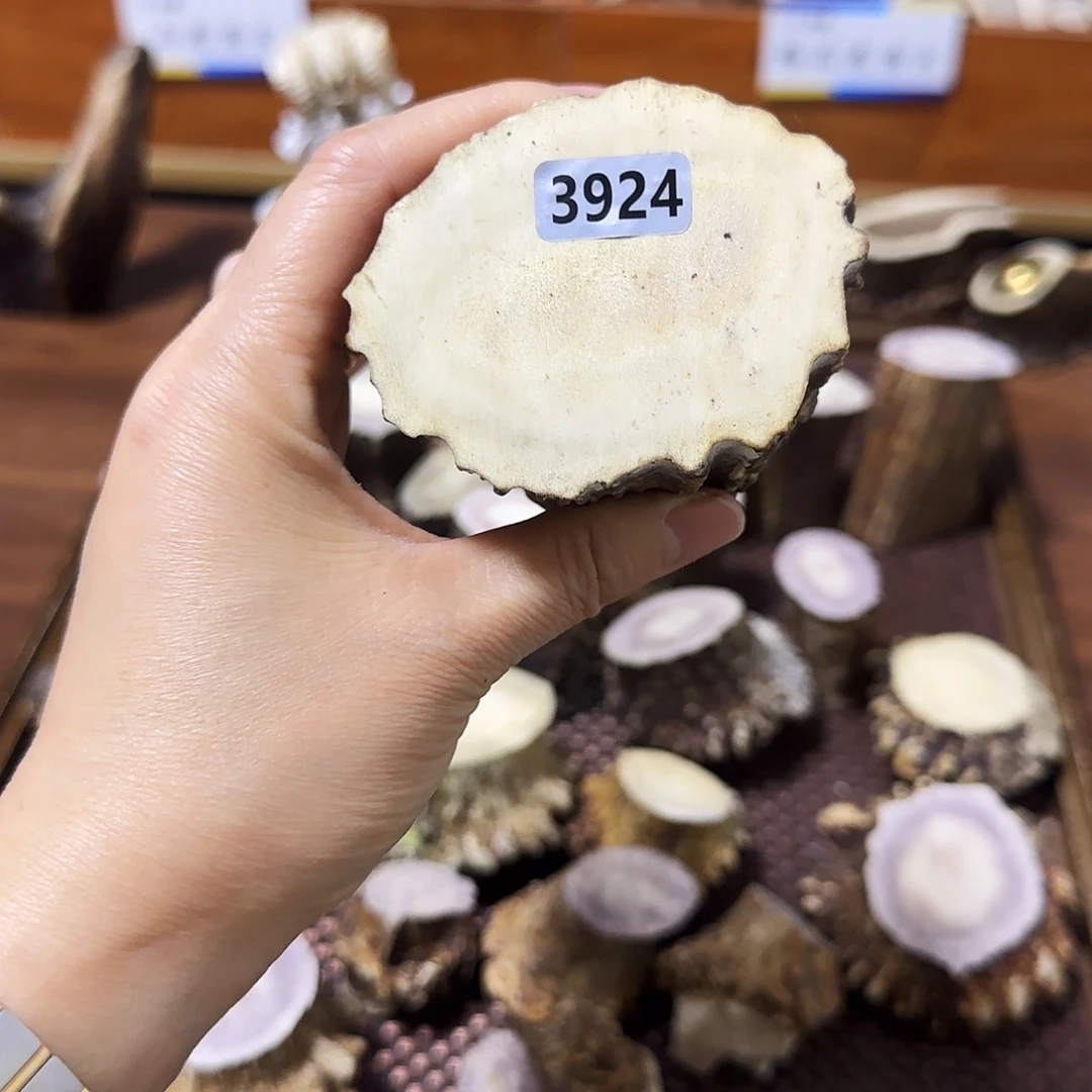 鹿骨手串/手链3924根段