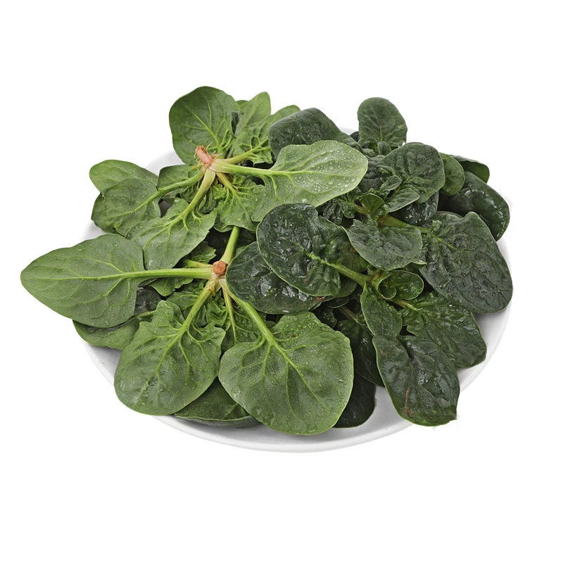 趴地菠菜300g/份