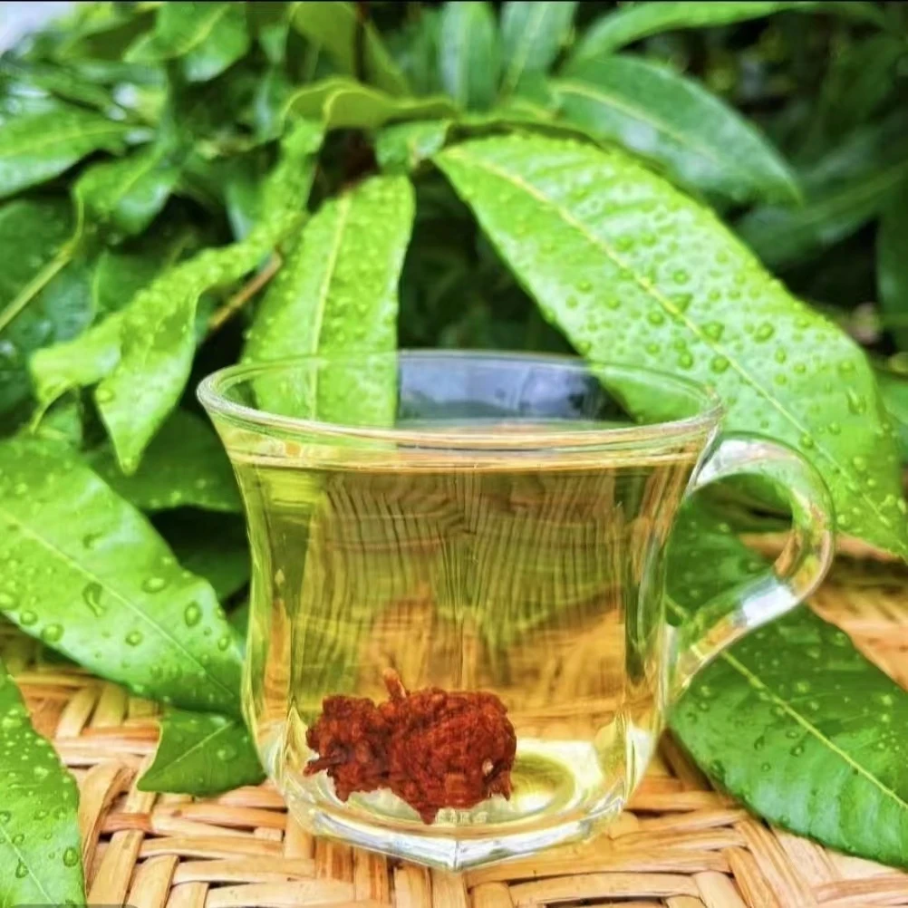 主播补贴【翠超专属】精选高山好货【珍藏清瘤果】500g 非薏米