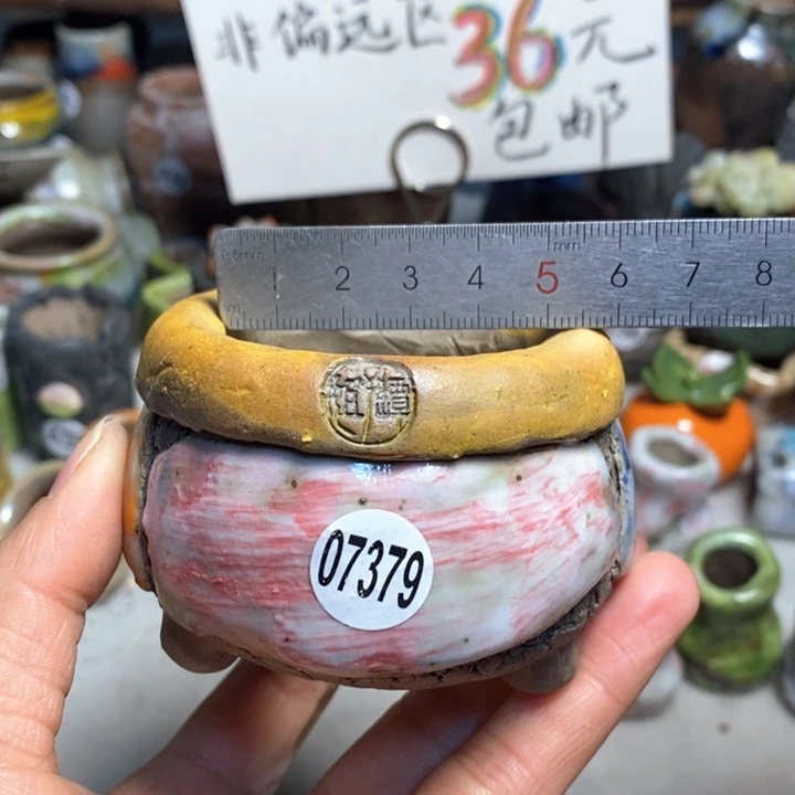 拍3送一个小礼物花盆