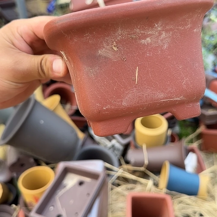 是的呀哈哈是这样哈哈好