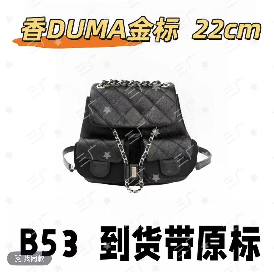 B53 香DUMA 双肩金标22cm【轻奢高仿国货】【有礼盒】【无需DIY】斜挎包