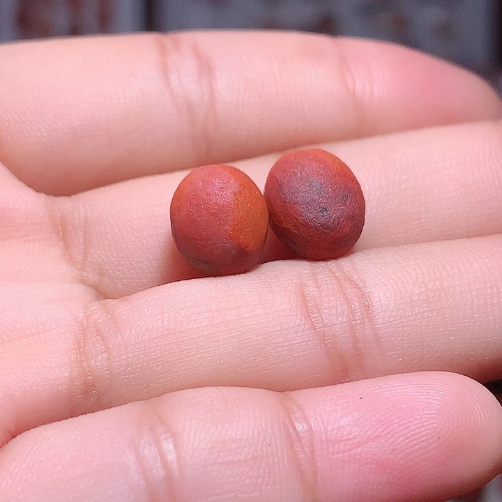 南红玛瑙未镶嵌南红糖豆