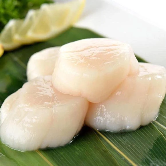 帆立贝柱刺身9片