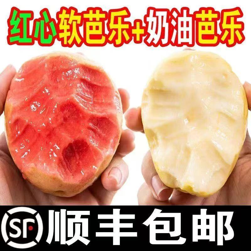 广西芭乐软糯香甜红心白心番石榴新鲜高维C低卡水果【顺丰包邮】