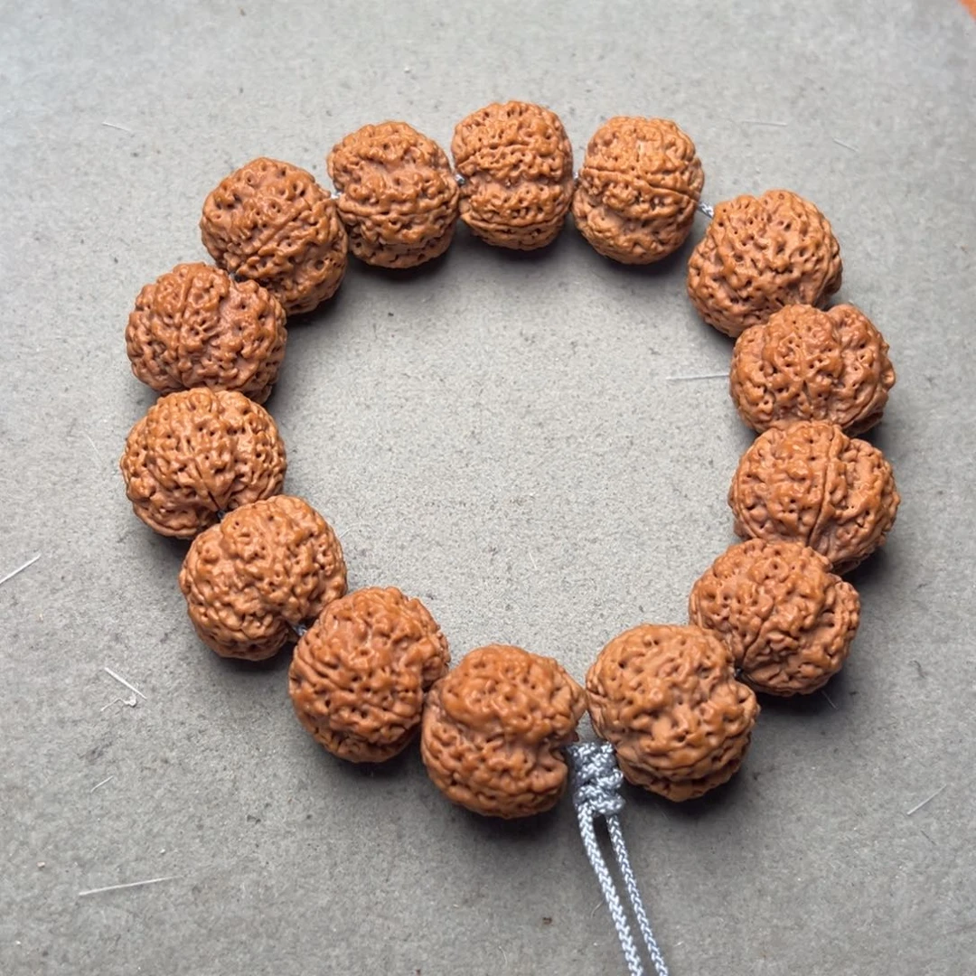 菩提28号金刚菩提蜂王安娜22