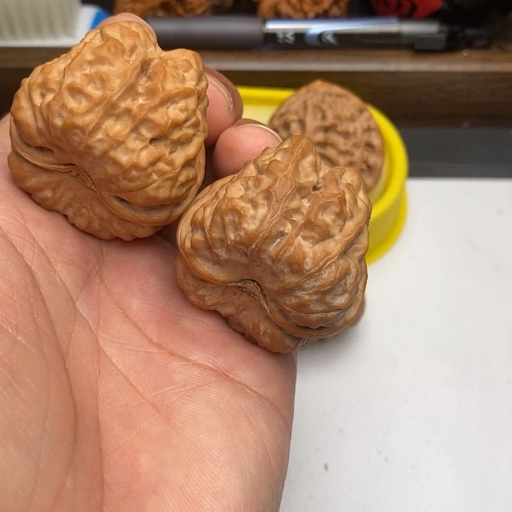 偶***尔蛤蟆头狮子头39尺寸