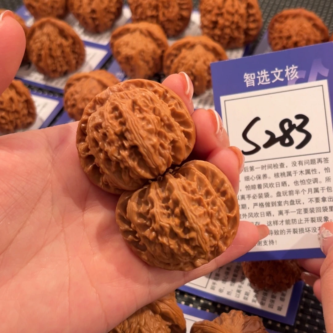 核桃S283号白狮子43尺