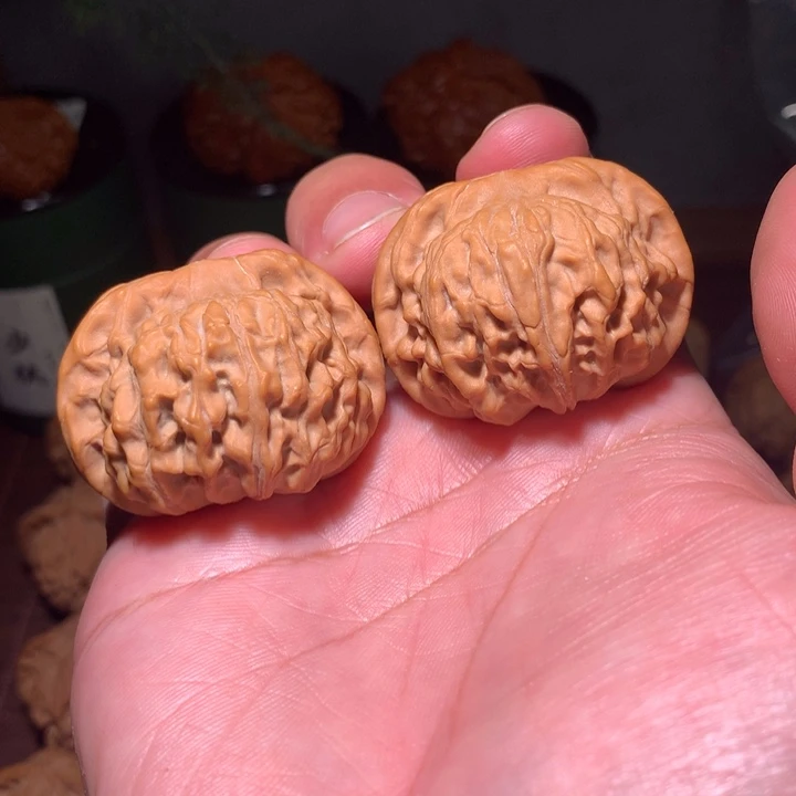 天地40全品麻核桃