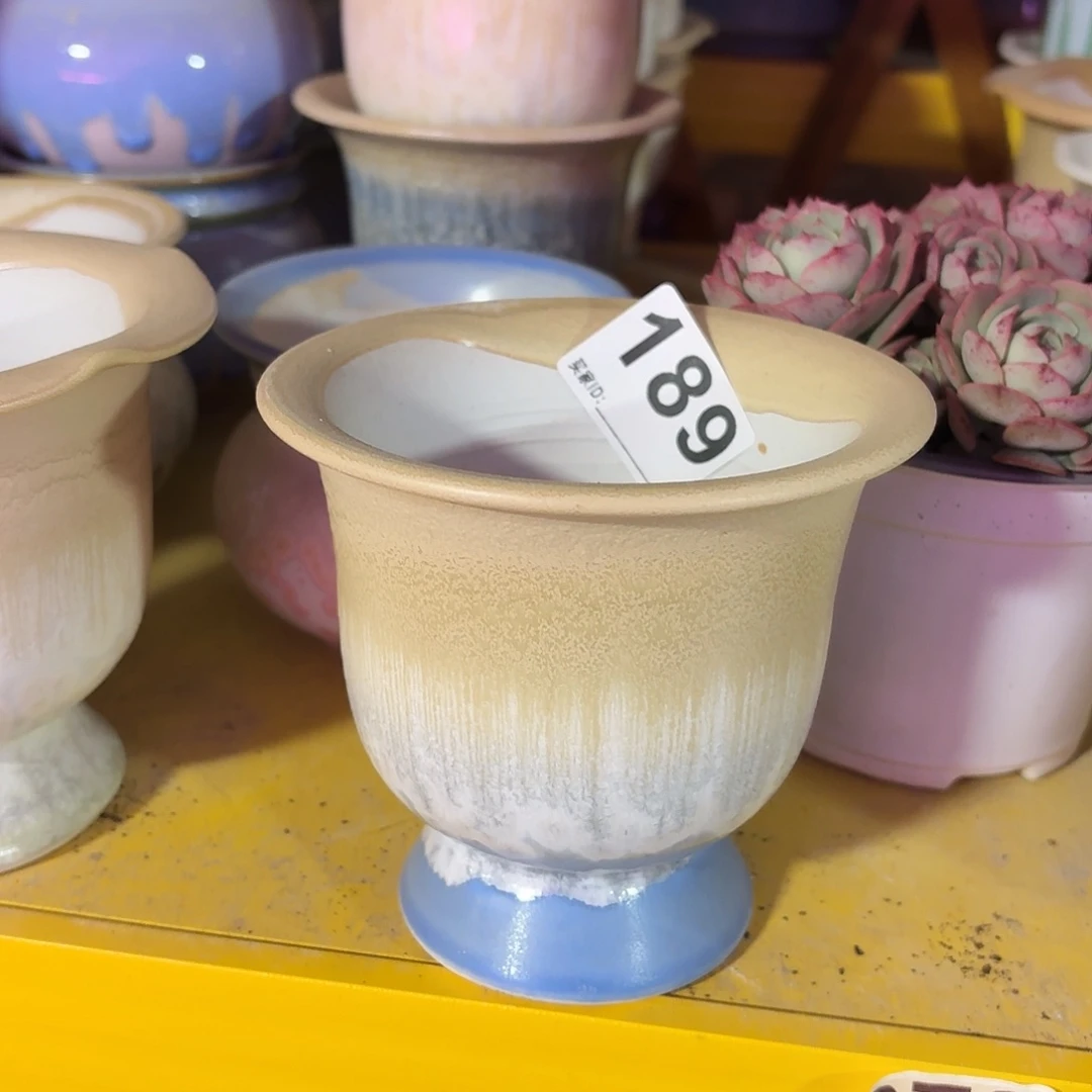 @***女景德镇多肉花盆189