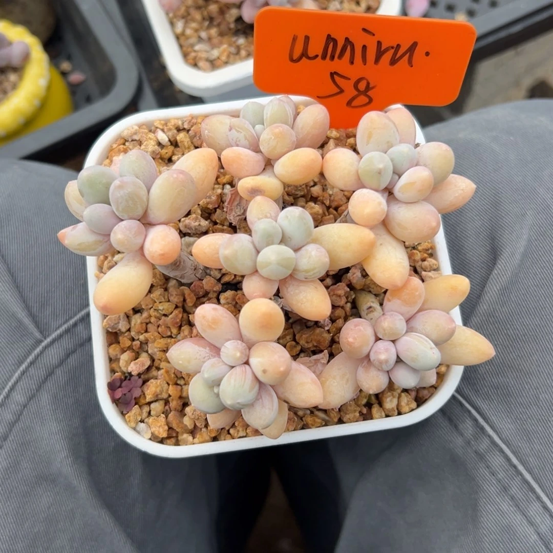 u***u香水手指111111111111111111111