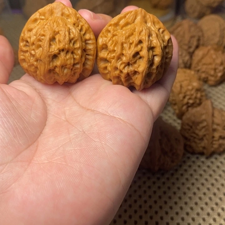 核桃手串/手链蓟县佛肚36