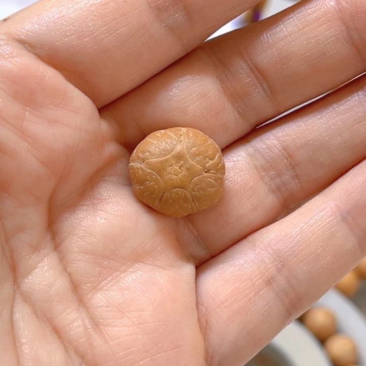 凤眼菩提手串16五星单籽，86@0658