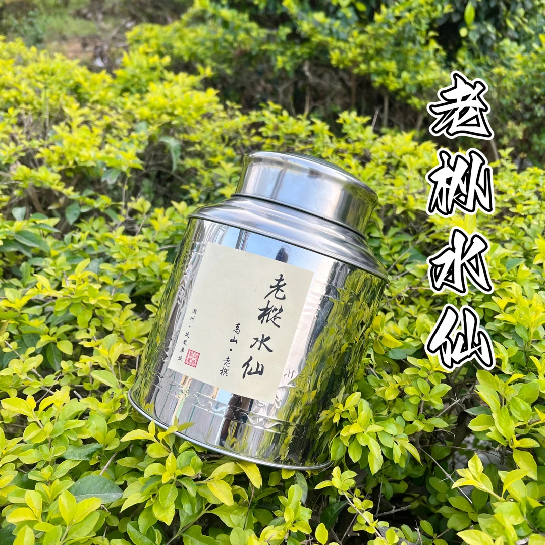【新客立减水仙鸟嘴】浓香高山浪菜潮州凤凰单丛回甘喉韵源头青苔味