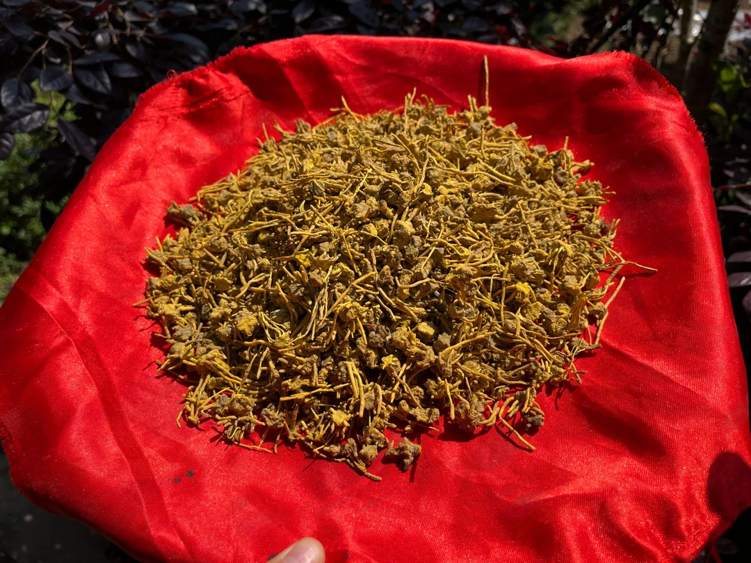 2【龙-须-石-斛】净含量：250g-1000g【阿徐现收】