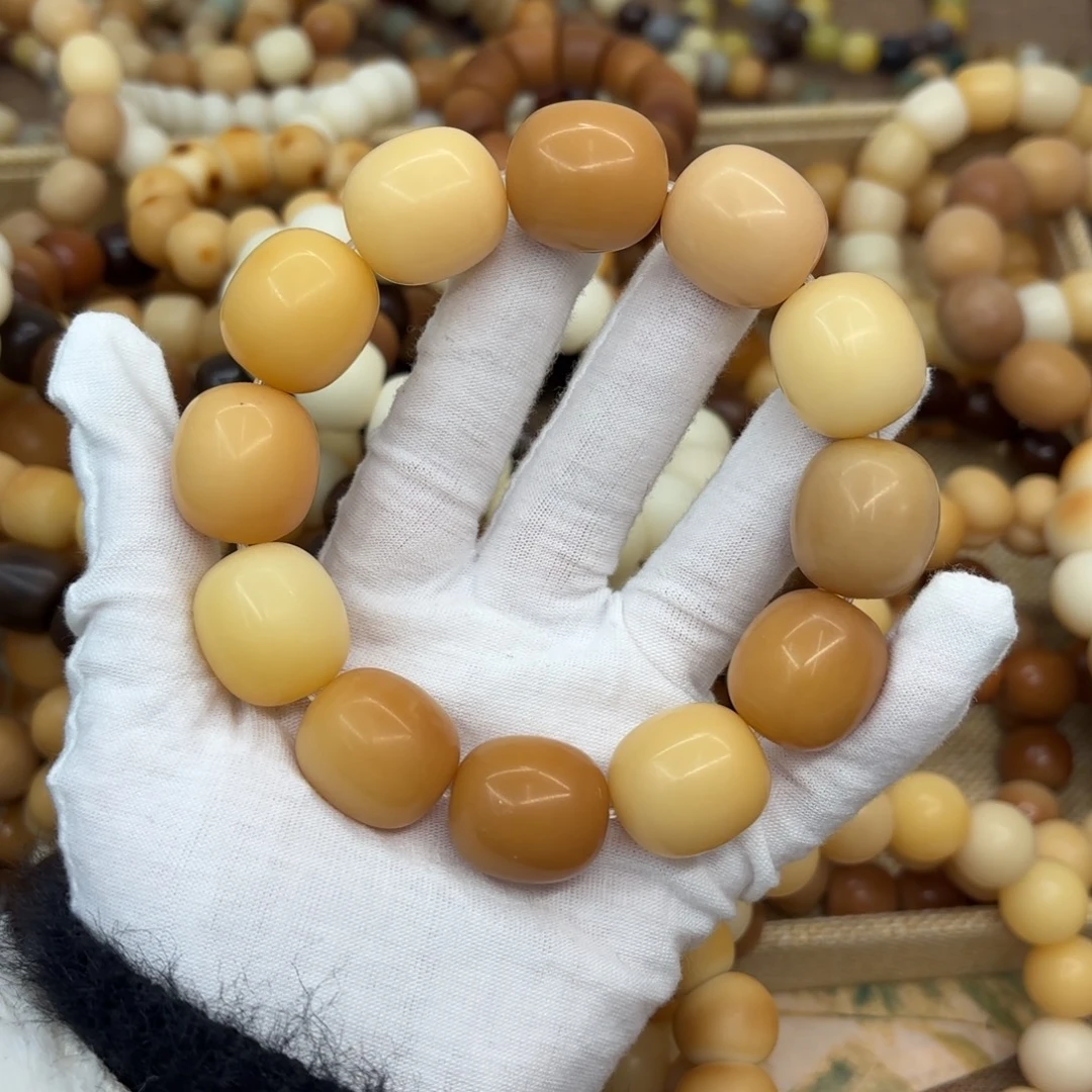 吊坠菩提根/象牙果22干磨瑕疵落地果985