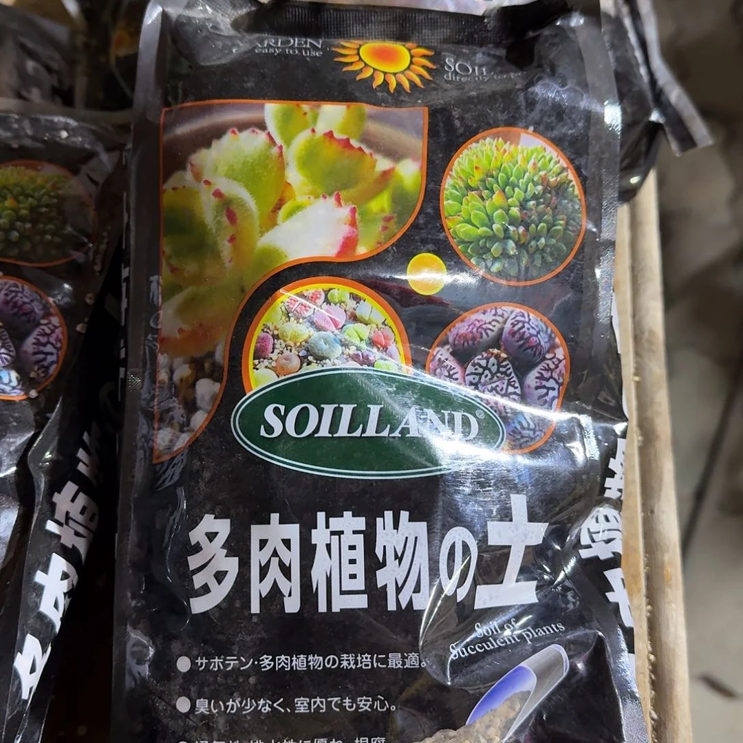 两包土多肉汁英语精品