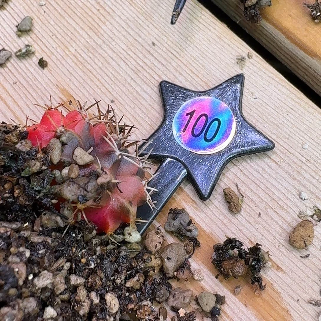 菩***提米哈实生自然锦100