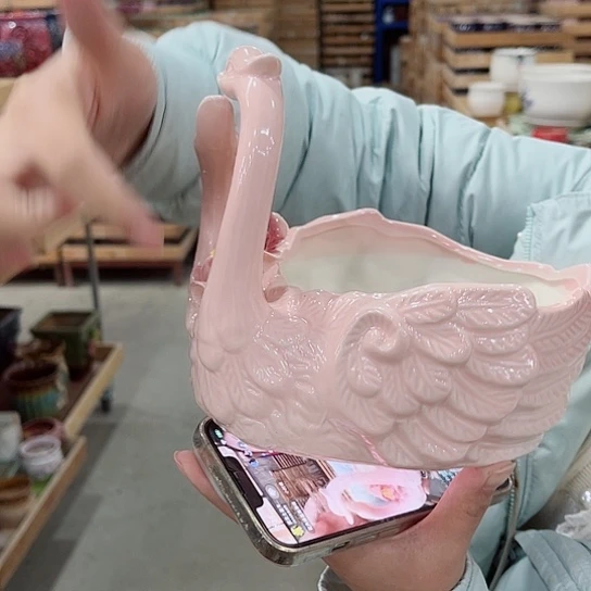 红陶直播间已有一年