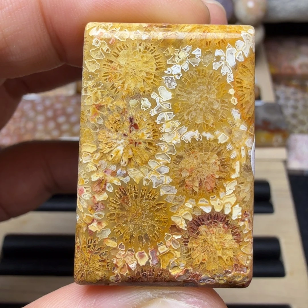 硅化玉未镶嵌天然有机玉石保真色