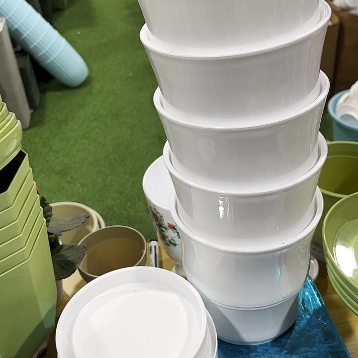 竹节口16.8高17带拖5只