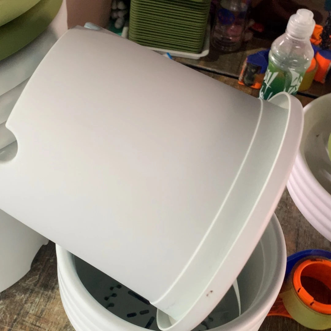 红陶21口奶白无托10个