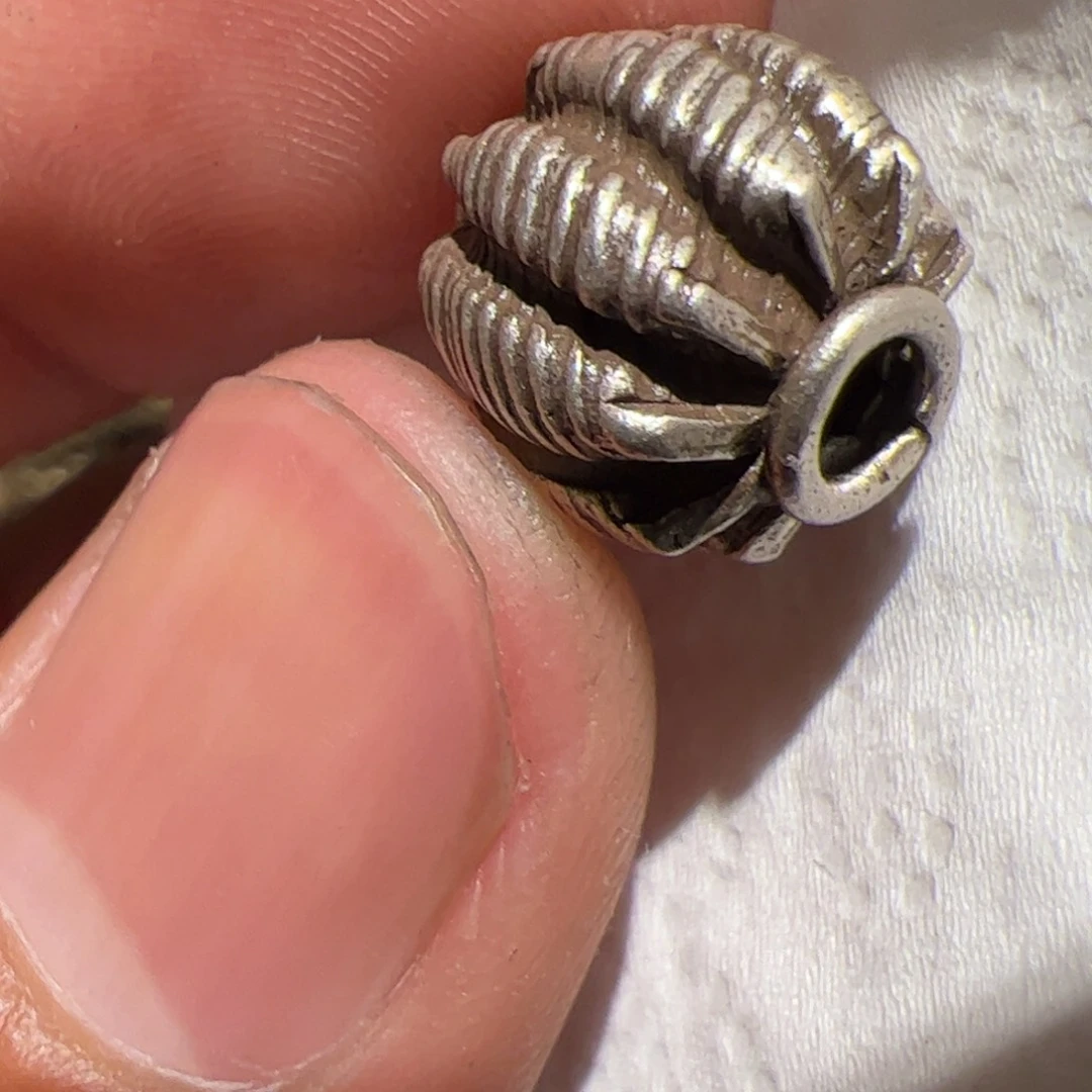 香榧木你的时候你是